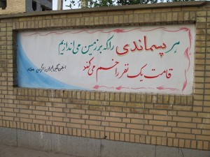 یوز ایرانی-انجمن (2)