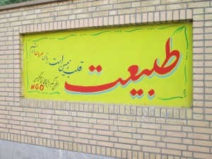 یوز ایرانی-انجمن (3)